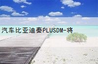 ǵPLUSDM-һھ泵